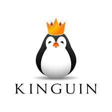 Kinguin Coupon Codes, Promo Codes and Discount Deals